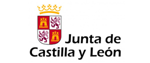 Junta de Castilla y León